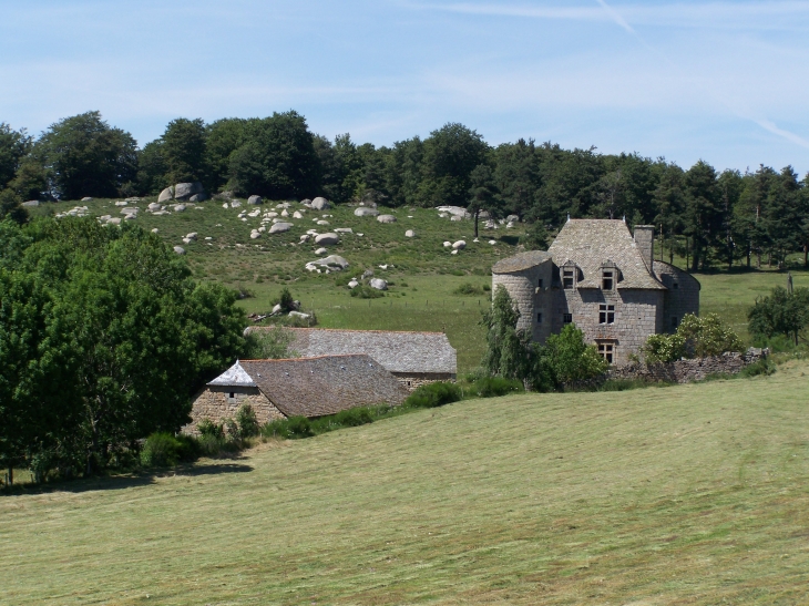 Le château du Fraisse - Chauchailles