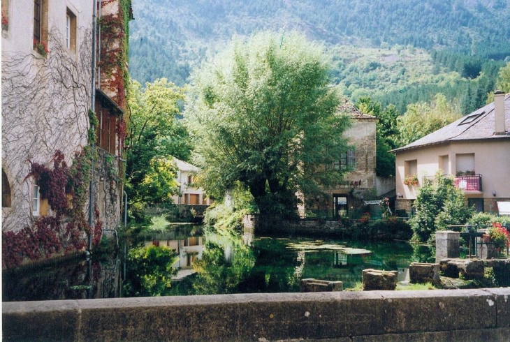 La source du Pêcher - Florac