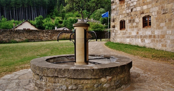 Le Château ( La Fontaine ) - Florac