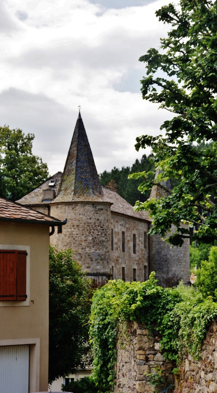 Le Château - Florac