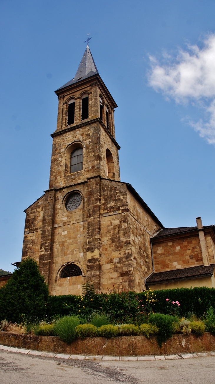 -église Saint-Martin - Florac