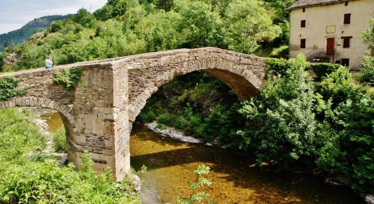 Pont-vieux sur La Mimente - Florac