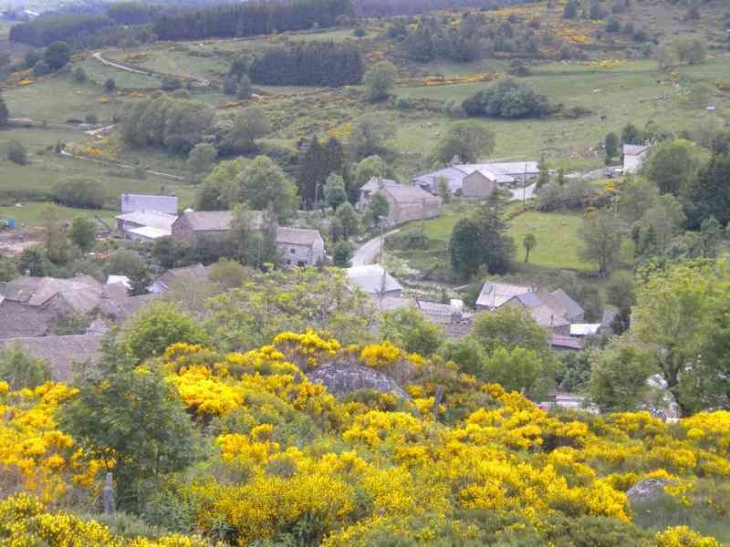 Le village La Villedieu