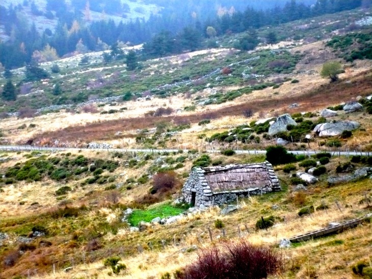 Cabane de berger sur les pentes du Mont lozère (D20) - Le Pont-de-Montvert