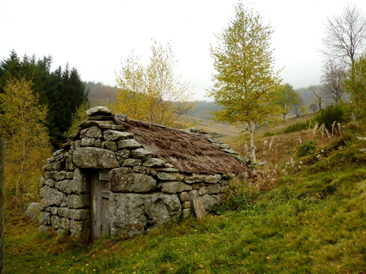 Abri de berger (D20) - Le Pont-de-Montvert