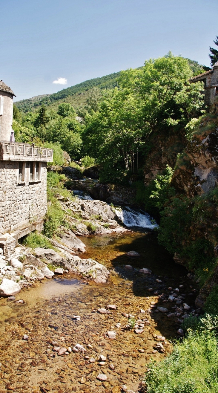 Le Tarn - Le Pont-de-Montvert