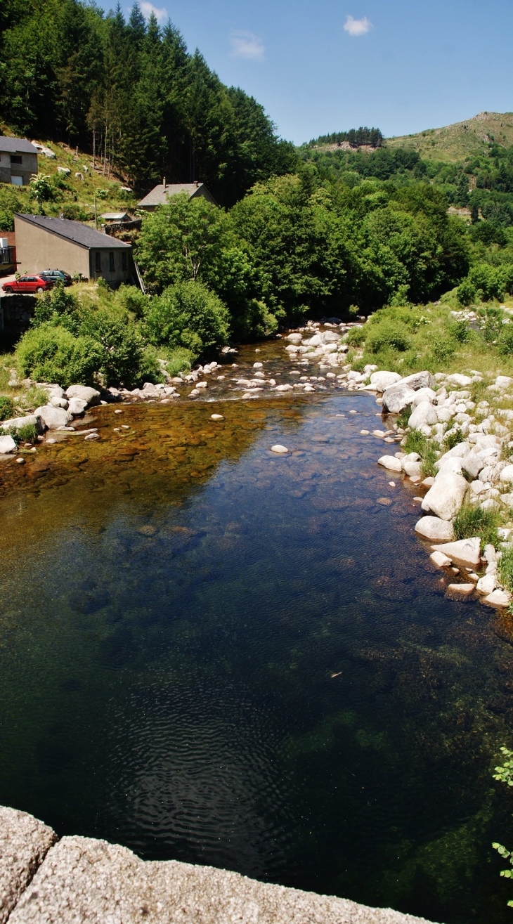 Le Tarn - Le Pont-de-Montvert