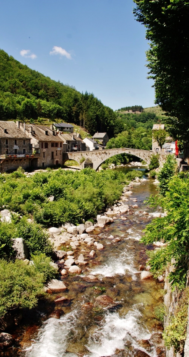  Le Rieumalet - Le Pont-de-Montvert