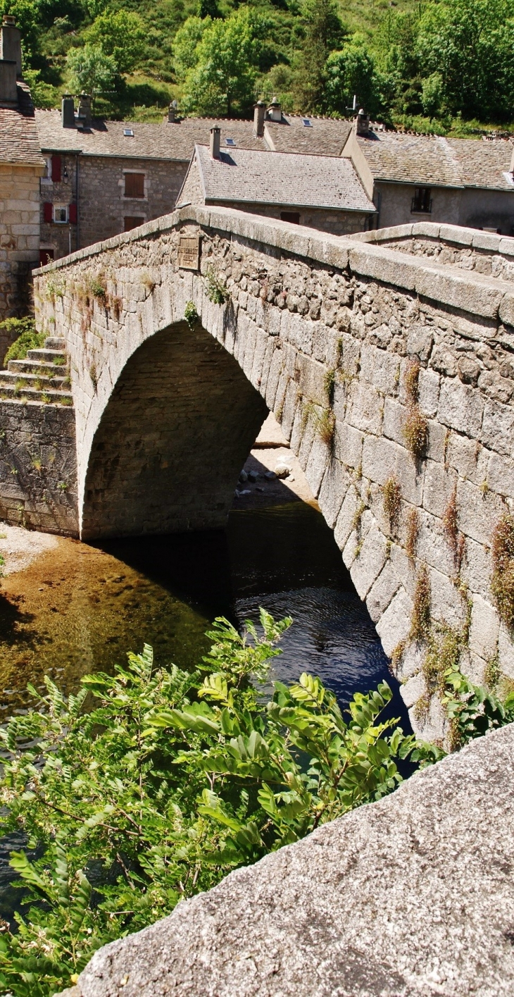 Pont Vieux - Le Pont-de-Montvert