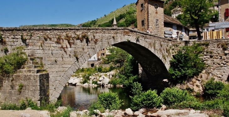 Pont Vieux - Le Pont-de-Montvert