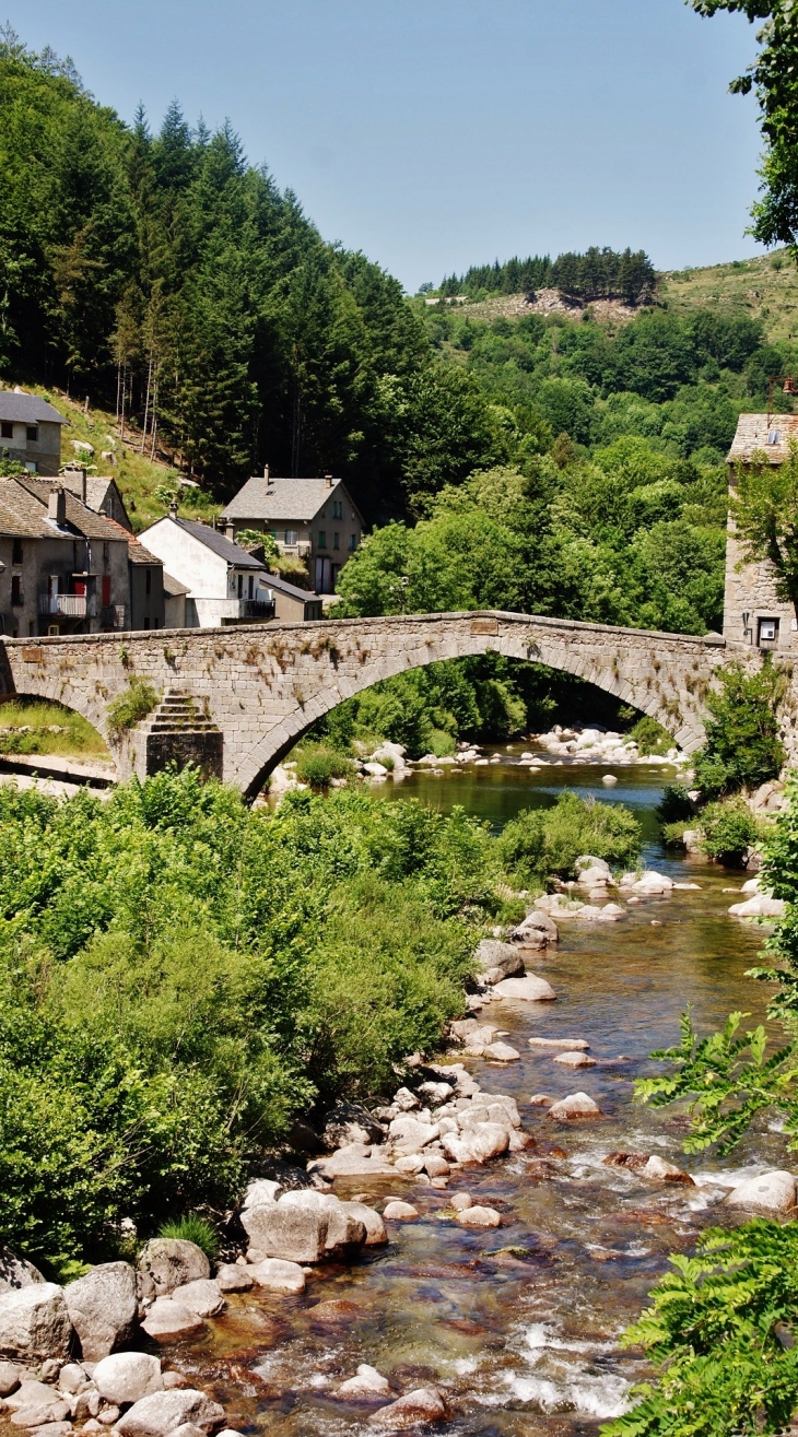 Pont Vieux - Le Pont-de-Montvert