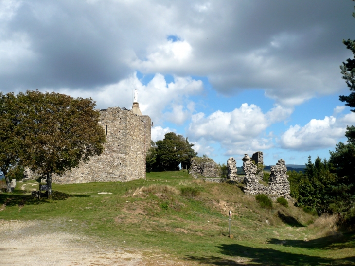 Vue générale du château de Luc, château féodal surmonté de la Vierge depuis 1878.