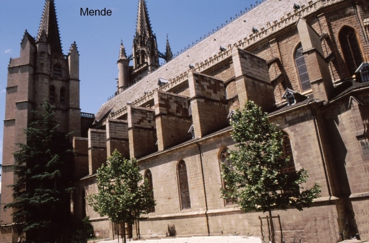 La cathédrale - Mende