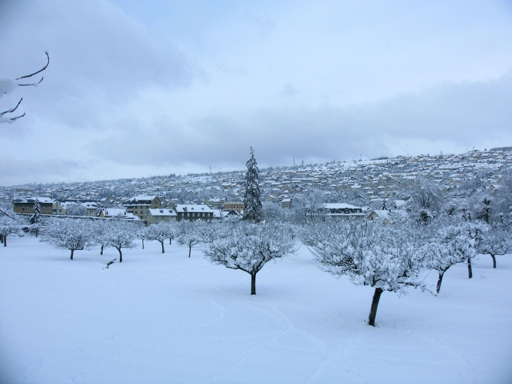 Mende sous la neige.2008