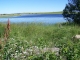 Photo suivante de Nasbinals le lac des Salhiens