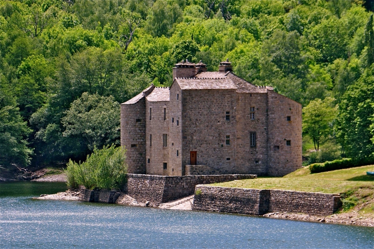 Le château de Castanet - Pourcharesses