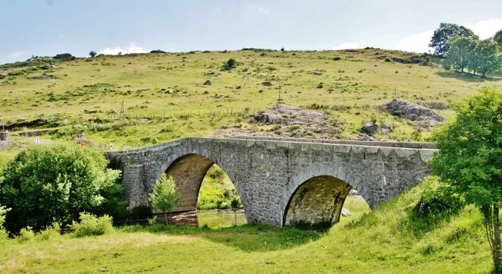 Le Pont du Gournier - Recoules-d'Aubrac