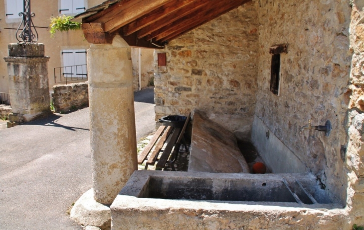 Le Lavoir - Saint-Bauzile