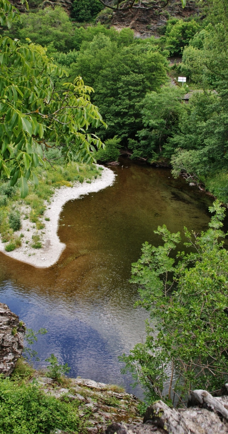 La Mimente - Saint-Julien-d'Arpaon