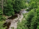 Photo précédente de Sainte-Croix-Vallée-Française Le Gardon