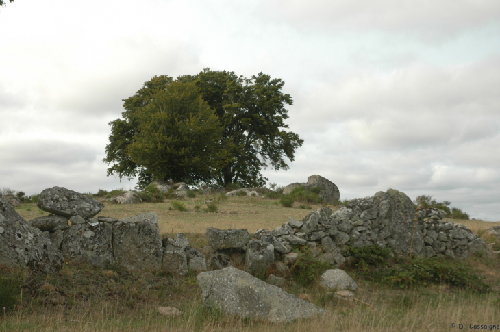 Paysage lozérien - Termes