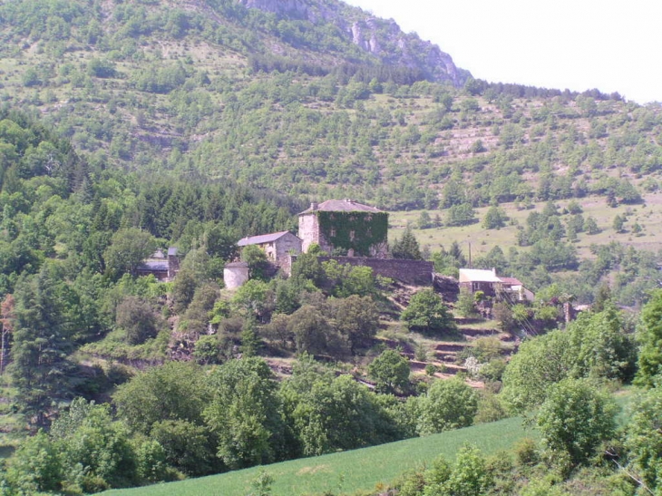 Vue du chateau de Vébron en venant de Les Vanels - Vebron