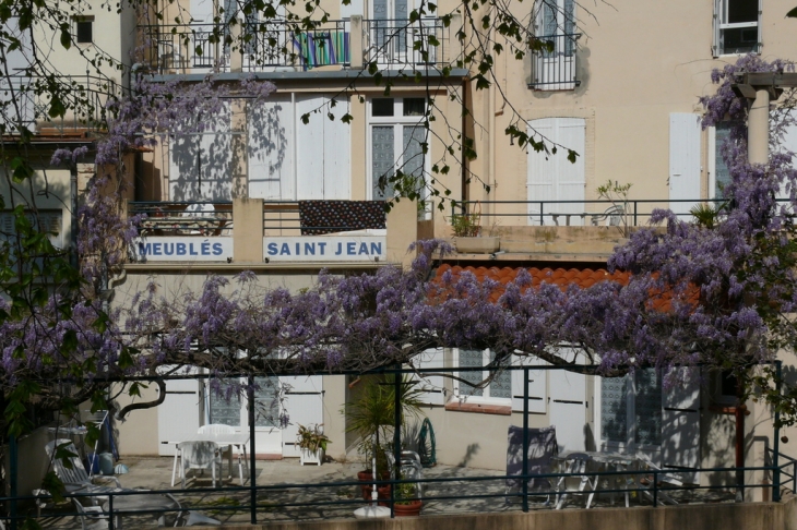 Sur le Mondony - Amélie-les-Bains-Palalda