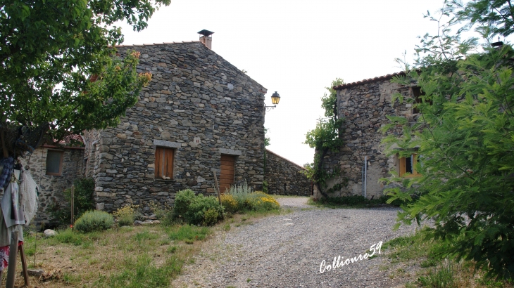 Marcevol hameau D'Arboussols