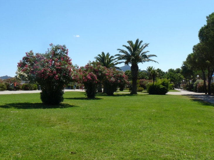 Parterre le long de la mer - Argelès-sur-Mer