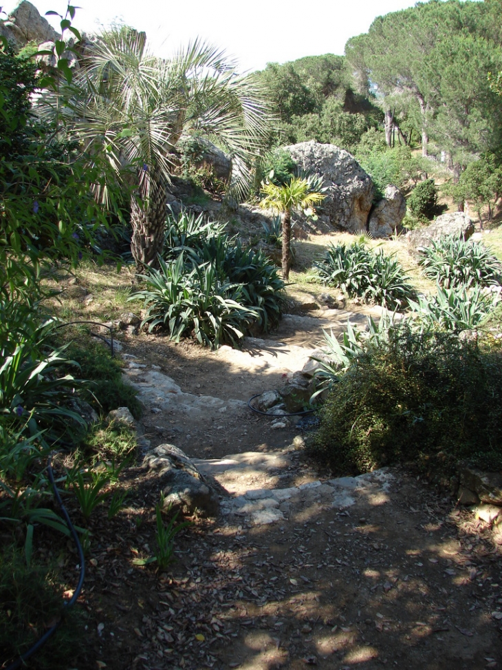 Le Parc du Château de Valmy - Argelès-sur-Mer