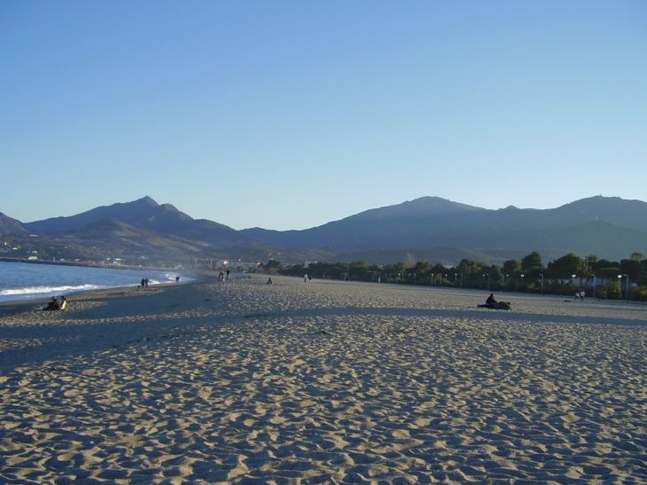 Plage argelès66 pyrénées-orientales - Argelès-sur-Mer