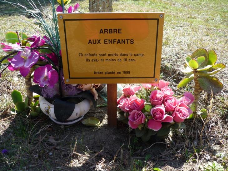 Arbre aux enfants morts au camp d'Argeles - Argelès-sur-Mer