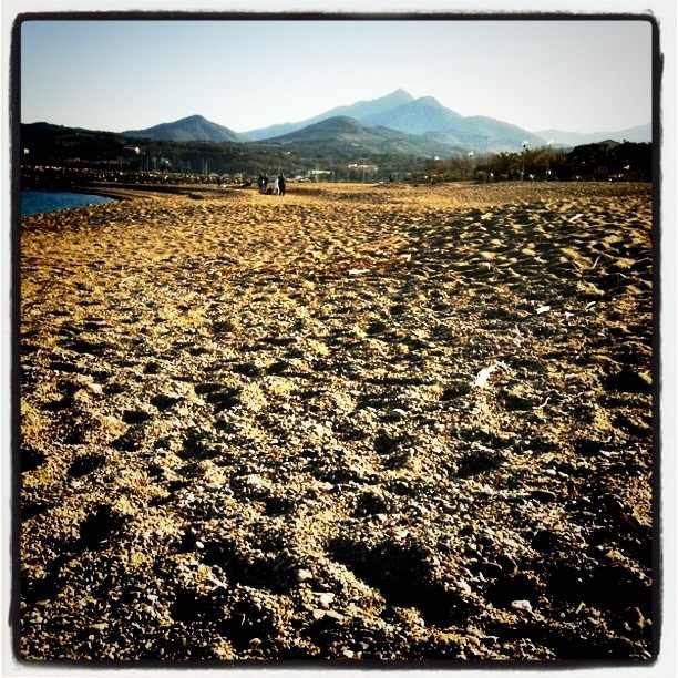 Plage Argeles sur Mer, vue sur les Alberes - Argelès-sur-Mer