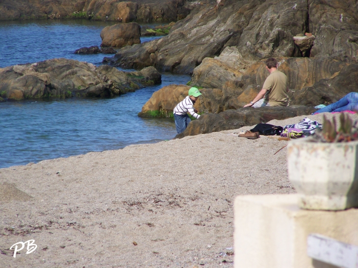  - Argelès-sur-Mer