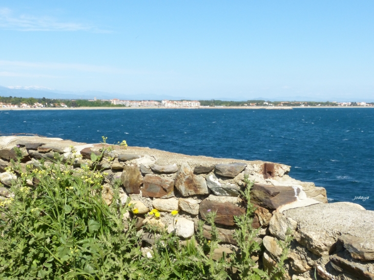 Argelès sur Mer. Sentier du littoral.  - Argelès-sur-Mer