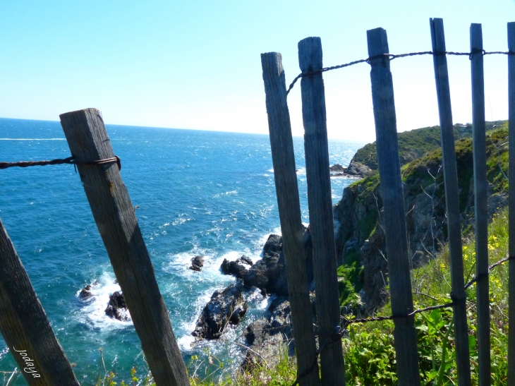 Argelès sur Mer. Sentier du littoral.  - Argelès-sur-Mer