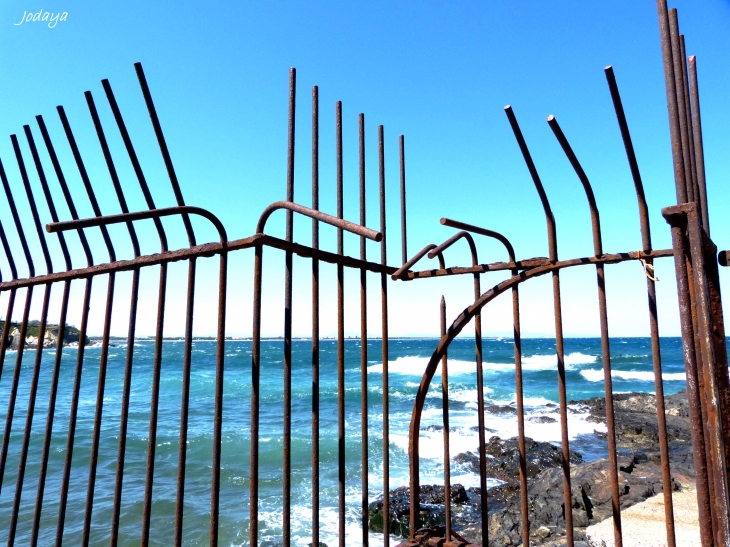 Argelès sur Mer. Sentier du littoral.  - Argelès-sur-Mer