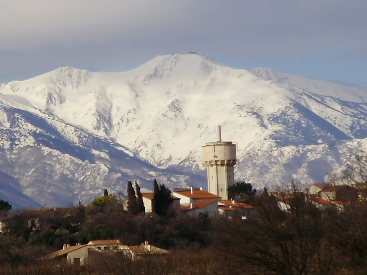 BANYULS dels ASPRES, son château d' eau et le CANIGOU en arrière-plan - Banyuls-dels-Aspres