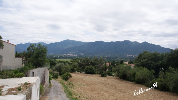  - Banyuls-dels-Aspres