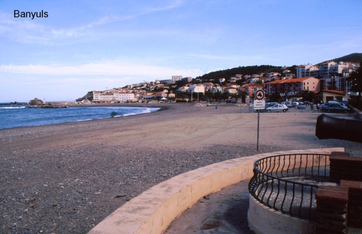 La plage - Banyuls-sur-Mer