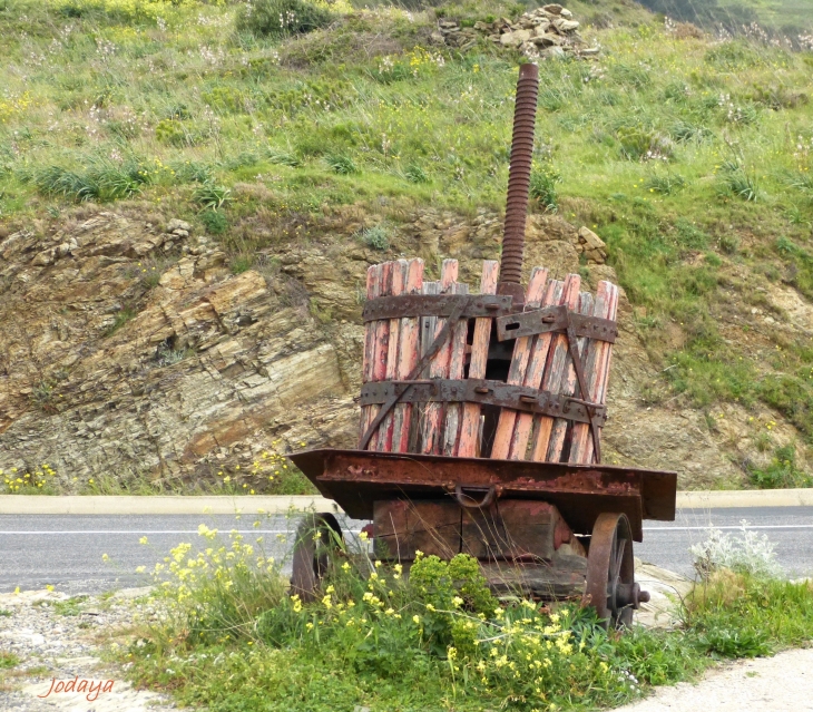 Banyuls sur Mer.  - Banyuls-sur-Mer