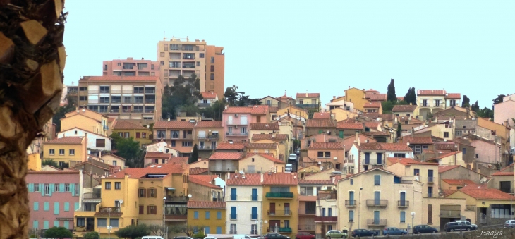 Banyuls sur Mer.  - Banyuls-sur-Mer