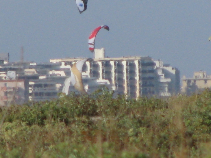 CANET SAIN CYP (54) - Canet-en-Roussillon