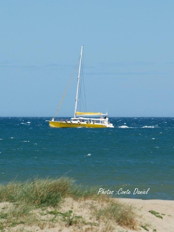 CATAMARANT PROMENADE - Canet-en-Roussillon