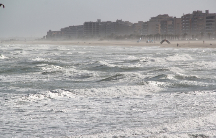 TRES BON POUR LES SKITES ET SURFS - Canet-en-Roussillon