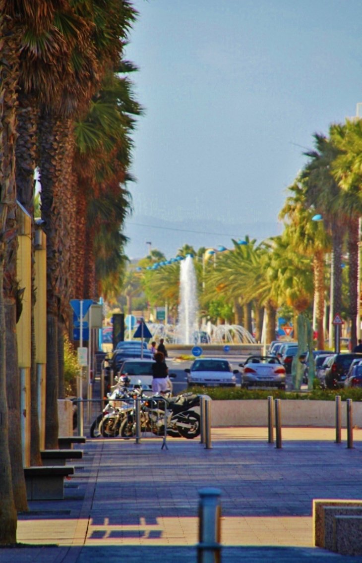 AVENUE  - Canet-en-Roussillon