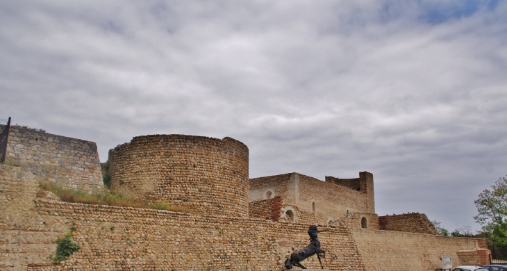  Château Vicomtal - Canet-en-Roussillon