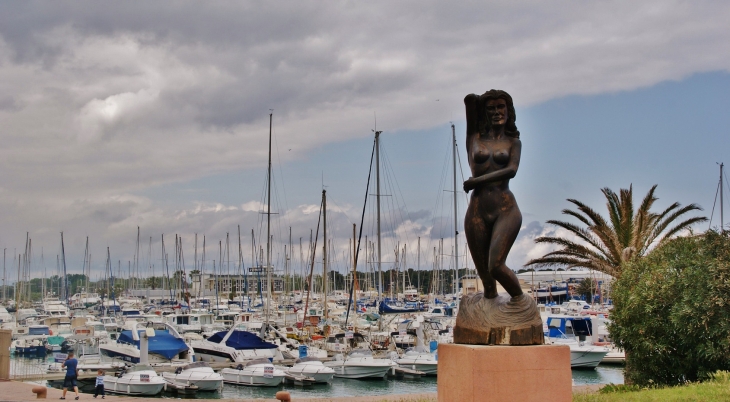 Le Port - Canet-en-Roussillon