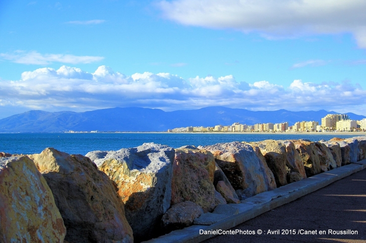 Port de Canet en Roussillon - Canet-en-Roussillon