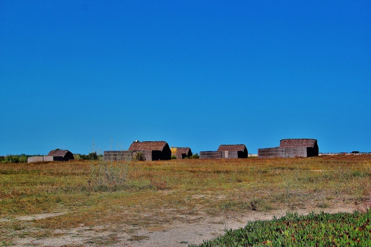 MAISONS DE PECHEURS  - Canet-en-Roussillon